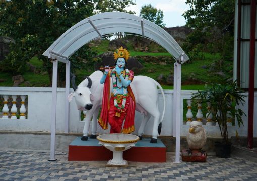 Temple Street Suite – Single Bed Room