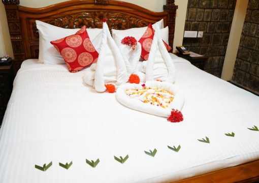 Andhapuram Suite – Single Bed Room With Private Pool